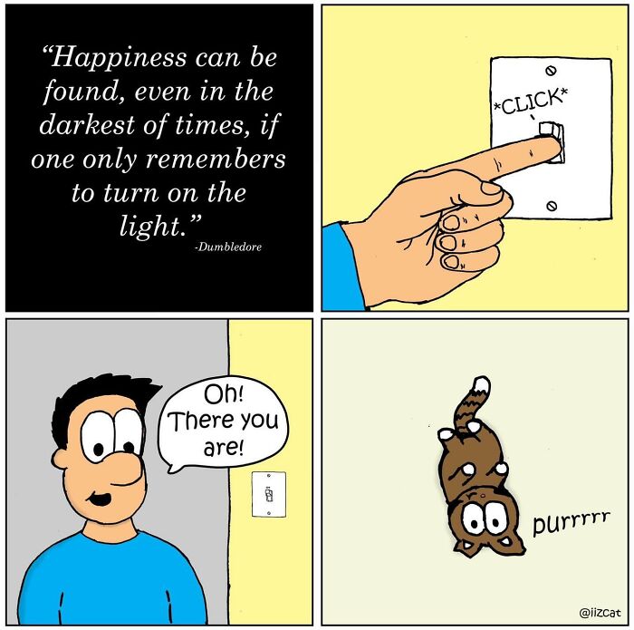 This Artist Turns The Chaos Of Living With A Cat Into Hilariously Relatable Comics (30 Comics)