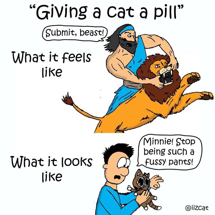 This Artist Turns The Chaos Of Living With A Cat Into Hilariously Relatable Comics (30 Comics)