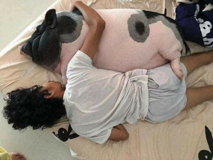 Person lying down and hugging a large spotted pig, showcasing unexpectedly beautiful bonds between humans and animals.