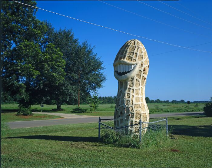Giant smiling peanut statue in a grassy roadside area, one of the unusual places around the world with unique landmarks.