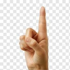 nadia-callahan avatar