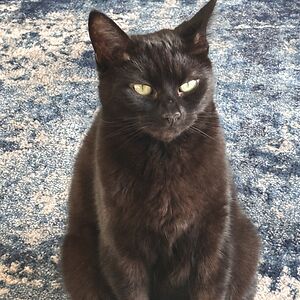 moyaparrington avatar