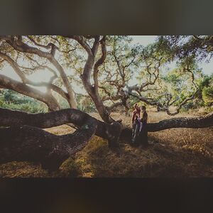 sarahphillips_1 avatar