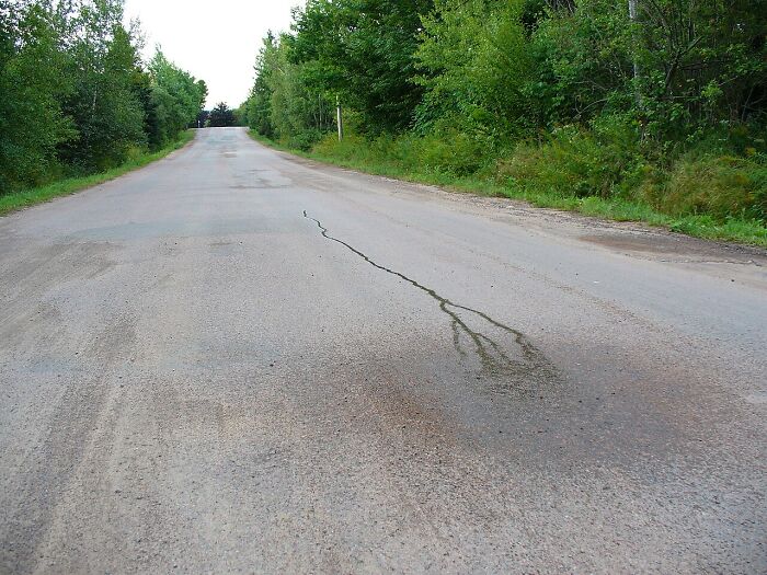 A unique unusual place featuring a rare lightning-shaped crack on a quiet road surrounded by trees.
