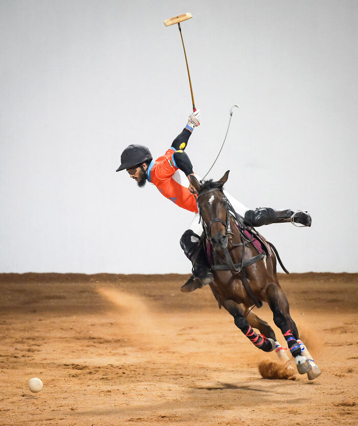 Equestrian: Bronze: Poetry In Motion By Mohammed Habib