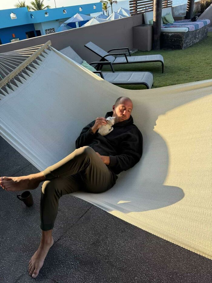 This Guy Thought He Was A “Dog Person” Until Rescue Kitten Lilo Changed His Mind This Guy Thought He Was A “Dog Person” Until Rescue Kitten Lilo Changed His Mind