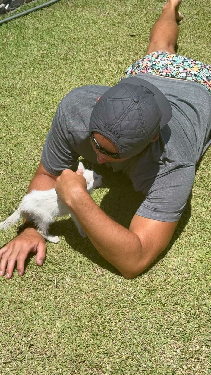 This Guy Thought He Was A “Dog Person” Until Rescue Kitten Lilo Changed His Mind This Guy Thought He Was A “Dog Person” Until Rescue Kitten Lilo Changed His Mind