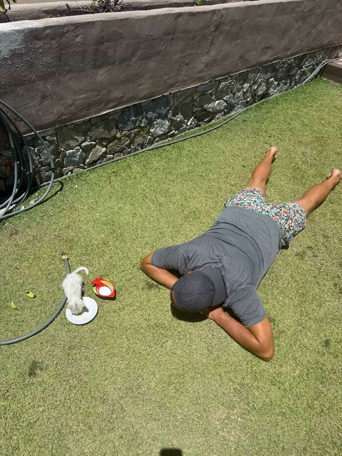 This Guy Thought He Was A “Dog Person” Until Rescue Kitten Lilo Changed His Mind This Guy Thought He Was A “Dog Person” Until Rescue Kitten Lilo Changed His Mind