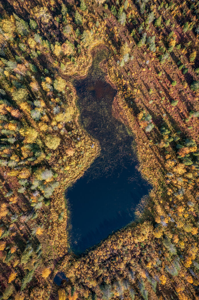 Aerial view of a uniquely shaped lake surrounded by autumn forest, one of the unusual places around the world.