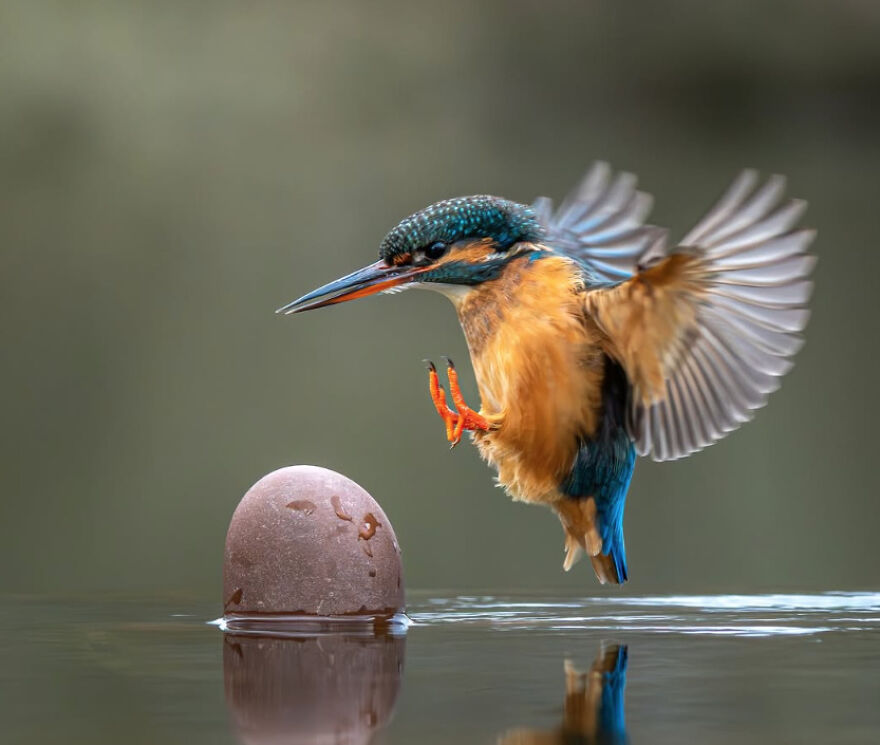 A Safari That Changed How I See The World A Safari That Changed How I See The World