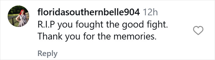 Comment from floridasouthernbelle904 expressing condolences and gratitude following James Van Der Beek’s tragic passing.