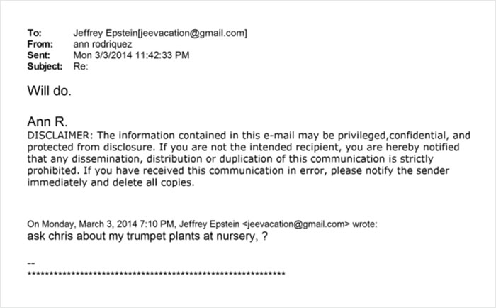 Email screenshot referencing Jeffrey Epstein discussing trumpet plants he reportedly grew at a nursery linked to victims. Email screenshot referencing Jeffrey Epstein discussing trumpet plants he reportedly grew at a nursery linked to victims.