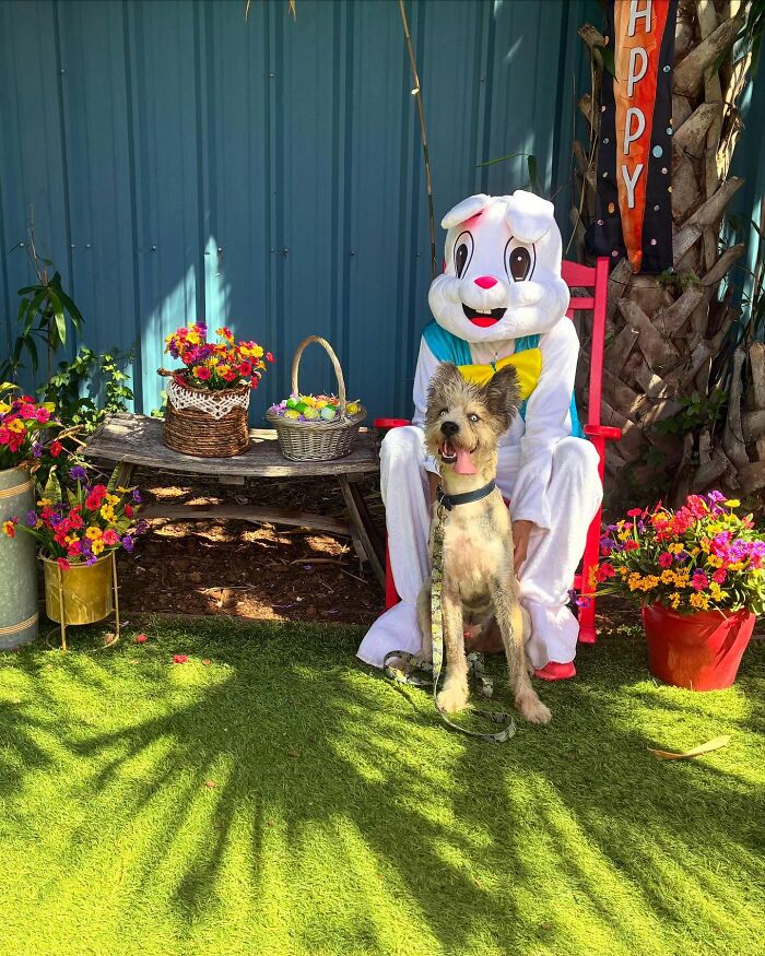 Special Needs Dog Einstein Was Given A Chance, And He’s Thriving Now Special Needs Dog Einstein Was Given A Chance, And He’s Thriving Now