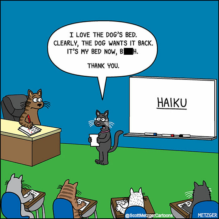 Cartoon showing cats in a classroom with a cat presenting a funny haiku about sharing a home with dogs.