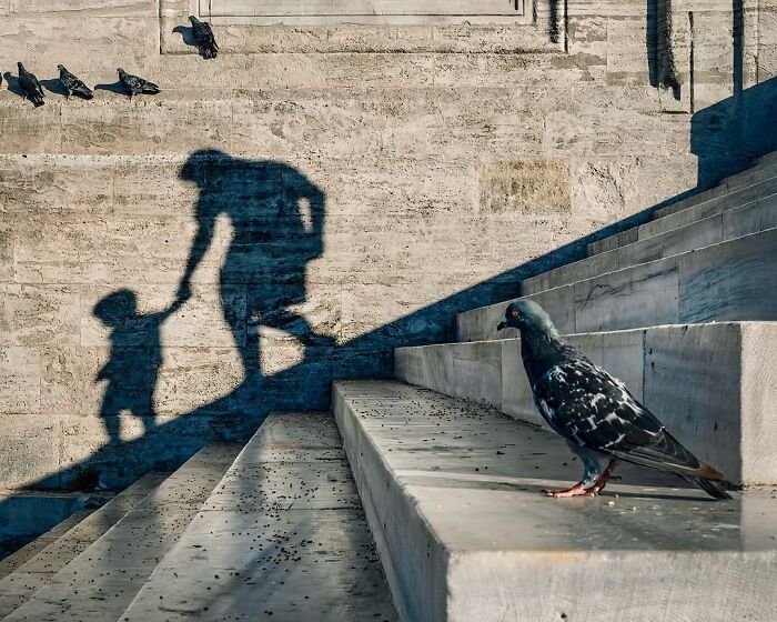 These Stunning Photographs Capture Perfectly Timed Moments That Tell Whole Stories (35 New Pics)