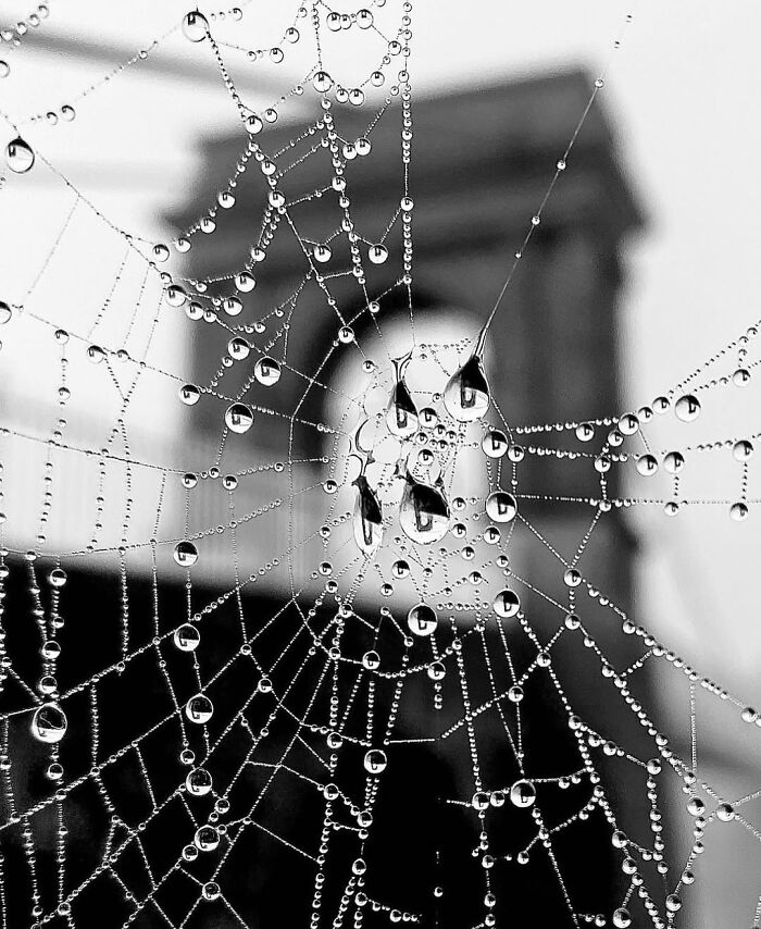 These Stunning Photographs Capture Perfectly Timed Moments That Tell Whole Stories (35 New Pics)