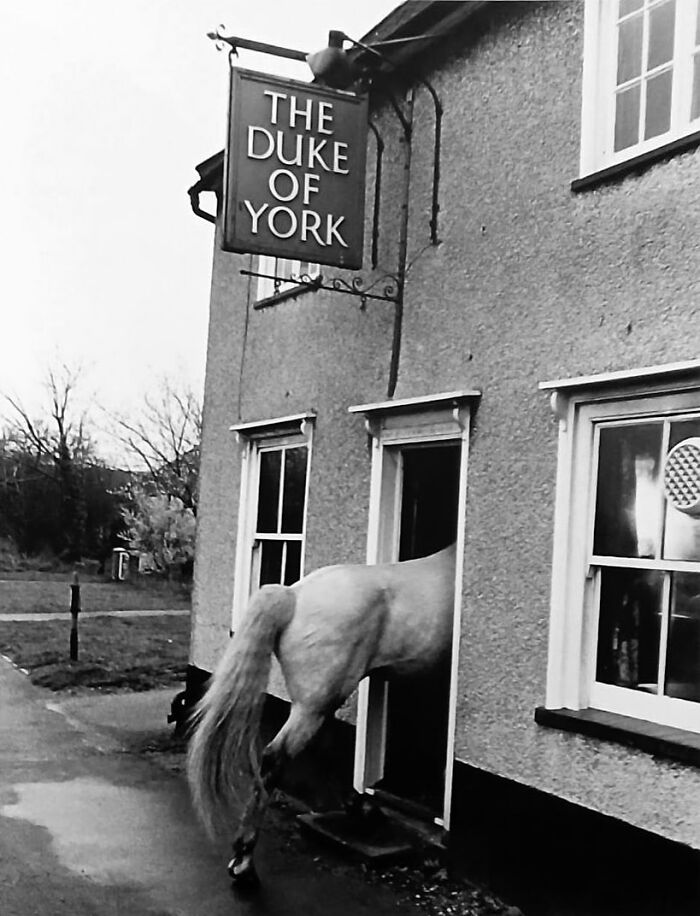 These Stunning Photographs Capture Perfectly Timed Moments That Tell Whole Stories (35 New Pics)