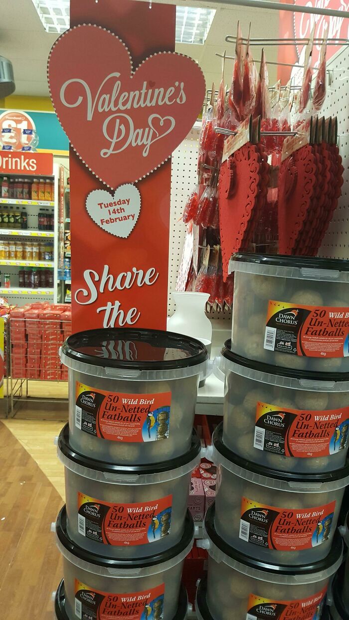 Valentine’s Day display with heart decorations and buckets of wild bird fatballs as funny Valentine’s Day gifts.