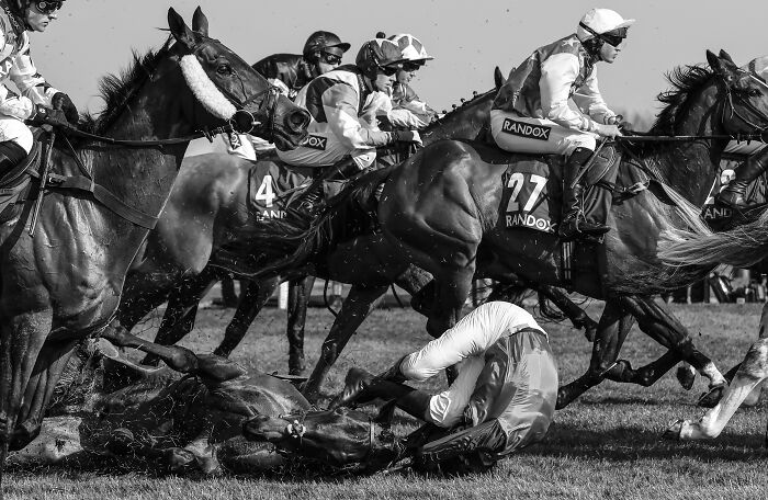 Equestrian, Silver: Falling By Tom Jenkins