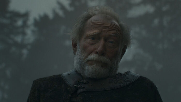 Older man in medieval armor with a gray beard and solemn expression, related to Ser Duncan in Knight of the Seven Kingdoms.