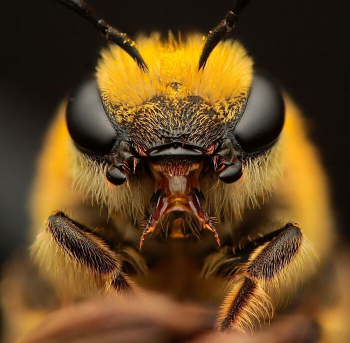 "The Complex Mouth" By Eduardo Salvador Cabrera