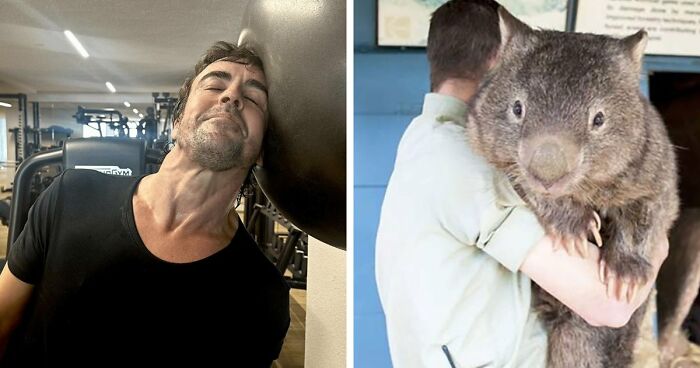 ‘Absolute Units’: 82 Times People Saw Something So Big, They Just Had To Share (New Pics)