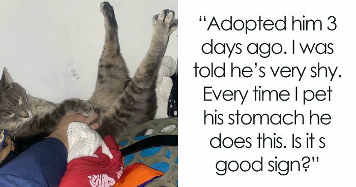 83 Wholesome Pics Of Adopted Rescue Pets Who Are Learning The Meaning Of “Home” (February Edition)