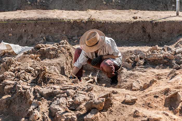 Archaeologist carefully excavating a site, revealing potential traps and hazards at job sites in an outdoor dig location.