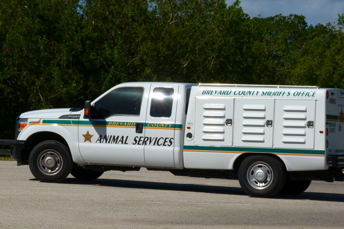 Dog Owner Gets Reported For Not “Matching” With Their Dog, Racist Lady ...