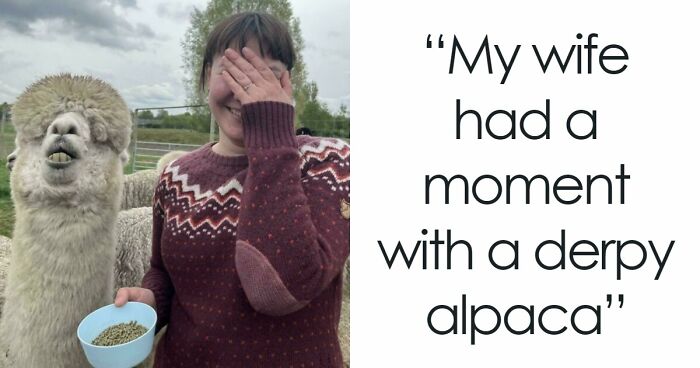 103 Endearingly Derpy Animals That Can Brighten Even The Worst Day (New Pics)