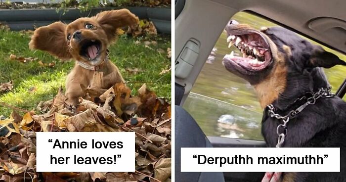 103 Horribly Unphotogenic Animals That Might Make You Laugh Way Harder Than You Should (New Pics)