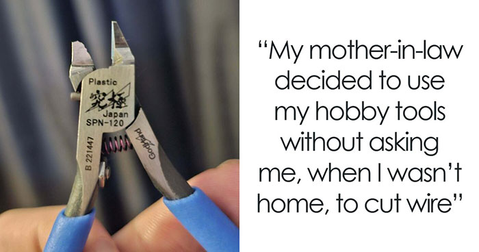 People Share 64 Hilariously Unhinged Moments With Their Truly Annoying In-Laws (New Pics)