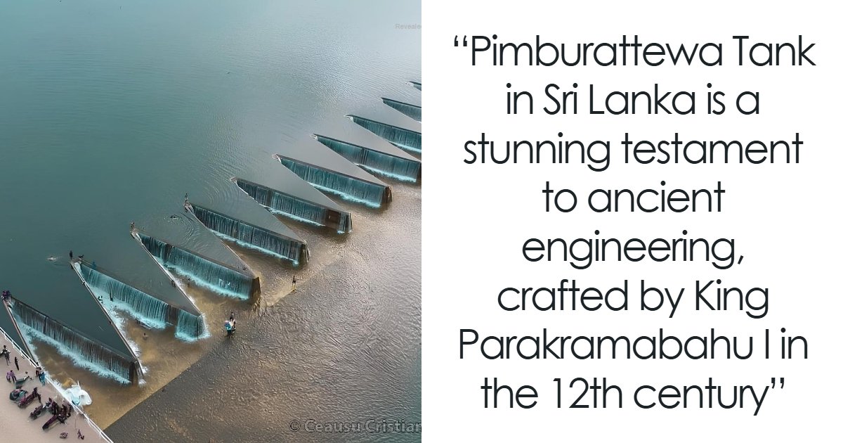 69 Facts That Might Reveal Rabbit Holes That You Haven’t Visited Yet