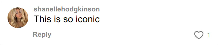 Screenshot of a social media comment reading This is so iconic, related to Australian woman viral love note to cute guy on flight. Screenshot of a social media comment reading This is so iconic, related to Australian woman viral love note to cute guy on flight.
