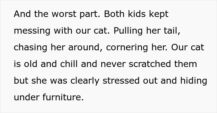 Kids stressing out the family cat after sibling kicks out brother and his kids due to no consequences parenting issues.