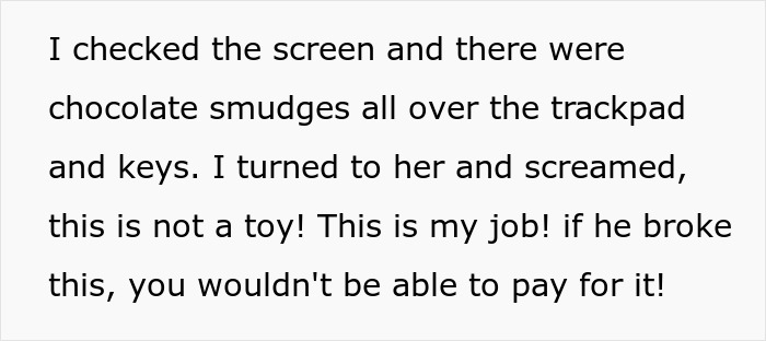 Freelance Designer Watches Her $2K Laptop Nearly Ruined By 5YO Cousin, Kicks Him And His Mom Out