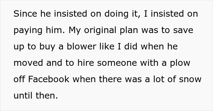 Text excerpt discussing plans to buy a new snow blower and hiring someone with a plow during heavy snow.