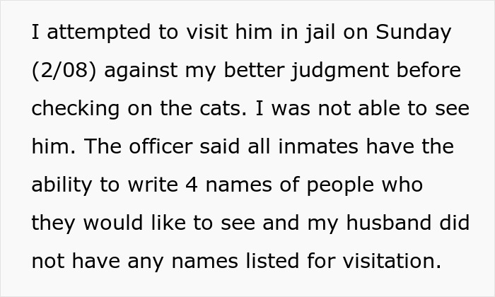 Estranged wife checks on jailed husband&rsquo;s cats and finds unexpected evidence revealing his true feelings.