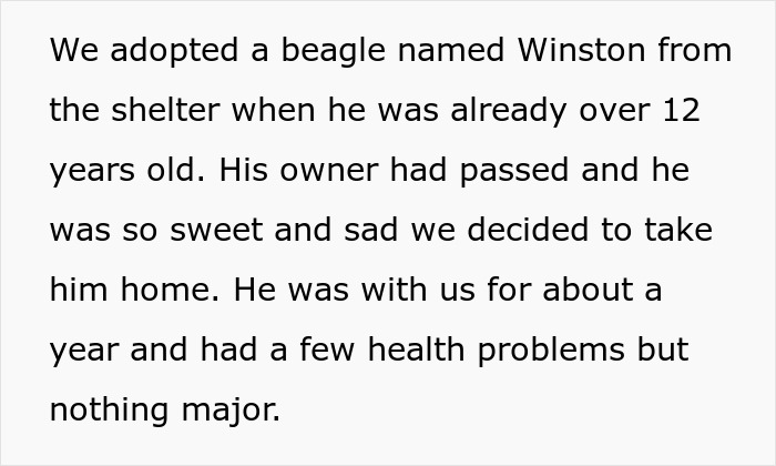 Text excerpt describing adopting a beagle named Winston from the shelter after his owner passed away.