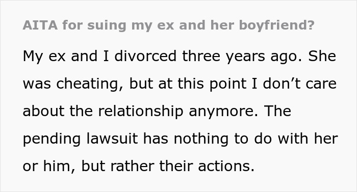 Text excerpt discussing suing ex and boyfriend after cheating, related to cheating ex-wife's boyfriend stealing expensive Lego sets.