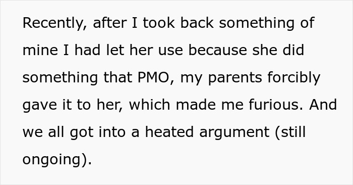 Text excerpt describing a heated argument in sister family parenting drama involving parents and shared belongings.