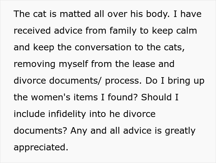 Text discussing estranged wife checking on jailed hubby&rsquo;s cats, finding a black thong, and considering infidelity in divorce documents.