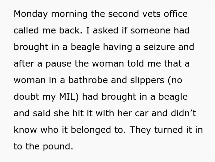 Text excerpt describing a MIL pretending dog passed away and the family discovering him at the shelter.