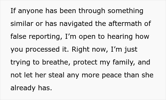 Text excerpt discussing coping strategies after false reporting and protecting family amidst postpartum boundaries retaliation.