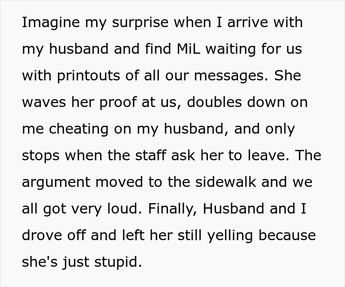 Text excerpt describing a MIL trying to catfish a woman to prove cheating, leading to a loud confrontation.