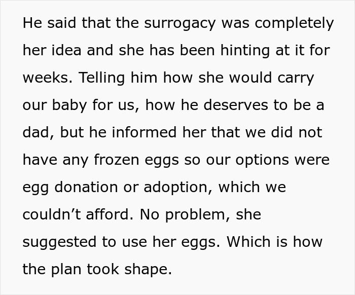 Text about surrogacy and infertility challenges, detailing egg donation, adoption, and a baby-making plan.