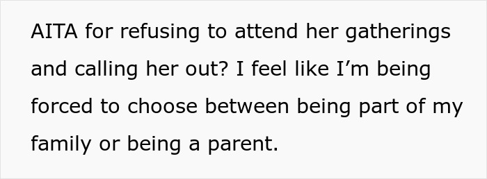 Text discussing a woman telling family no kids allowed in her home, causing brother to feel targeted.