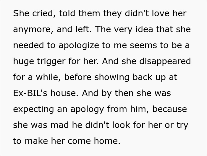 Woman goes berserk on brother for meddling with her parenting after kids called him for help in family dispute.