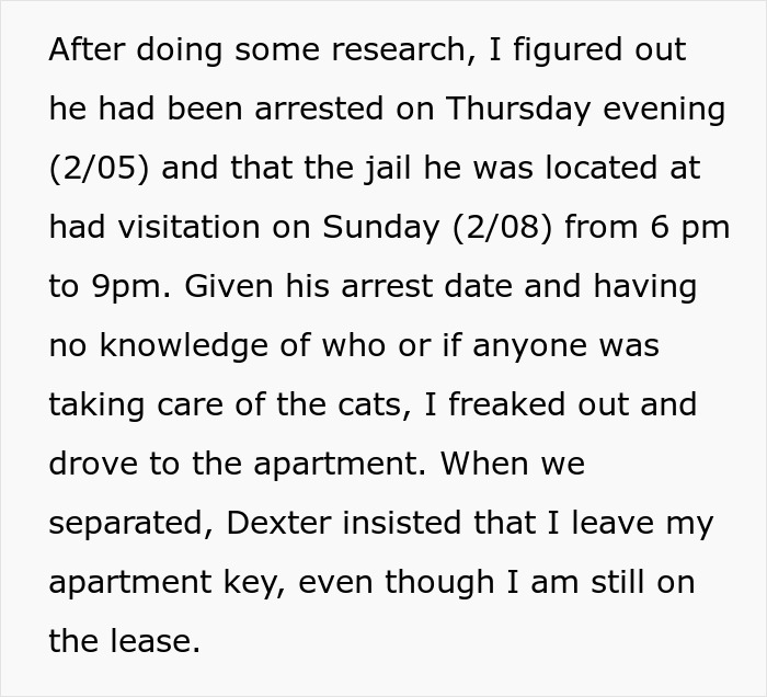Estranged wife checks on jailed hubby&rsquo;s cats, finds surprising evidence revealing his true feelings and secret activities.