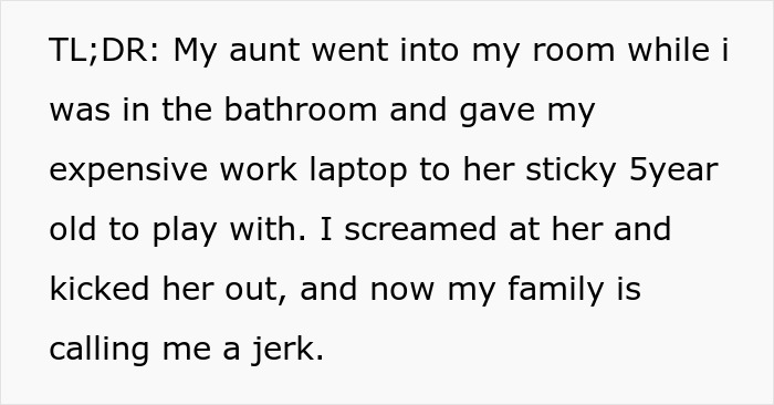 Freelance Designer Watches Her $2K Laptop Nearly Ruined By 5YO Cousin, Kicks Him And His Mom Out